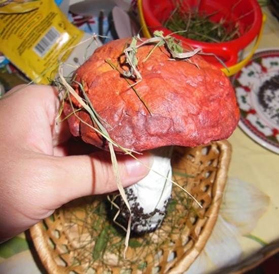 Поделка осенние бусы: Детские бусы своими руками из подручных материалов