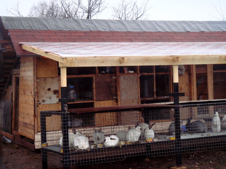Сарай для животных своими руками фото: Как построить сарай для скотины своими руками с минимальными затратами