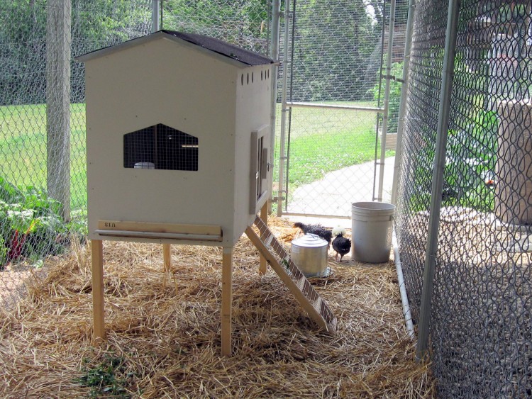 Курятник на дачном участке: как построить красивый птичник на дачном участке, пошаговое описание