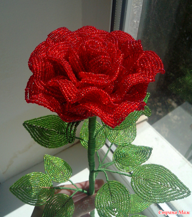 Фото схемы розы из бисера: схемы простой, большой, маленький, легкий, красивый. Видео, фото