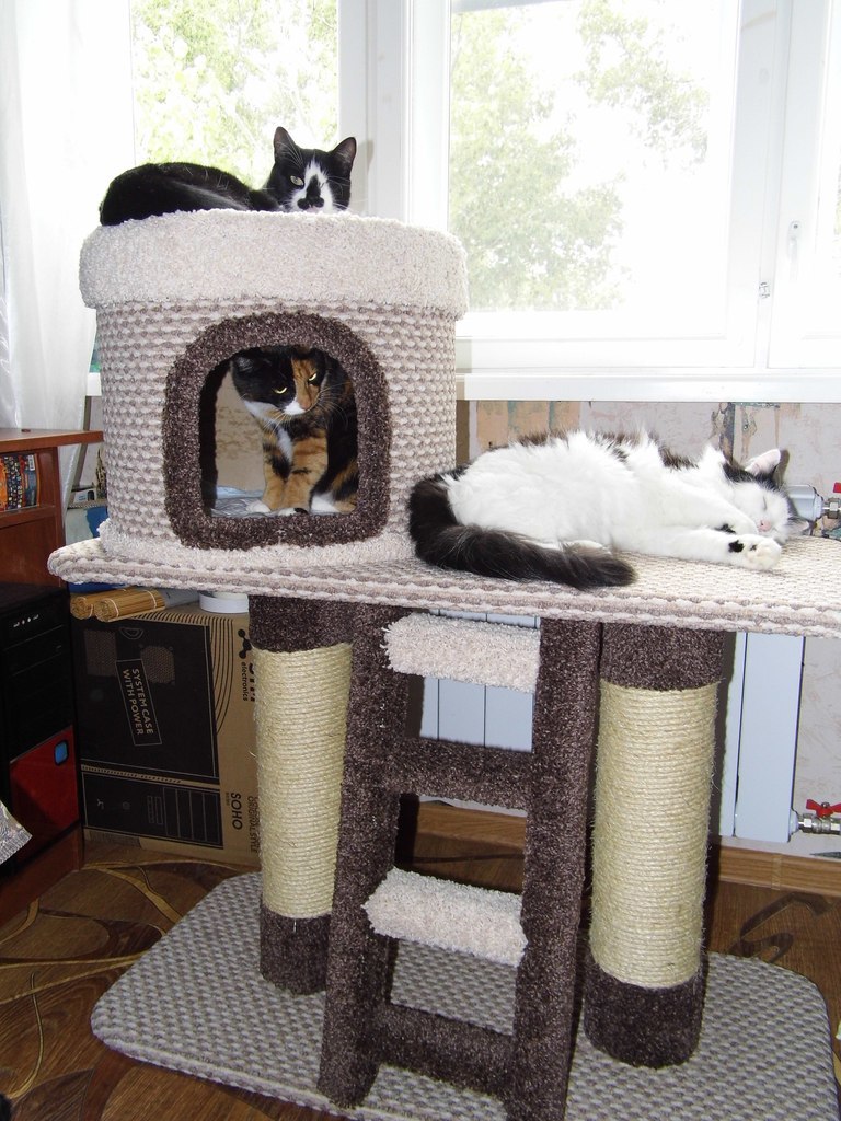 Оригинальные домики для кошек: Необычные домики для кошек – купить на Ярмарке Мастеров