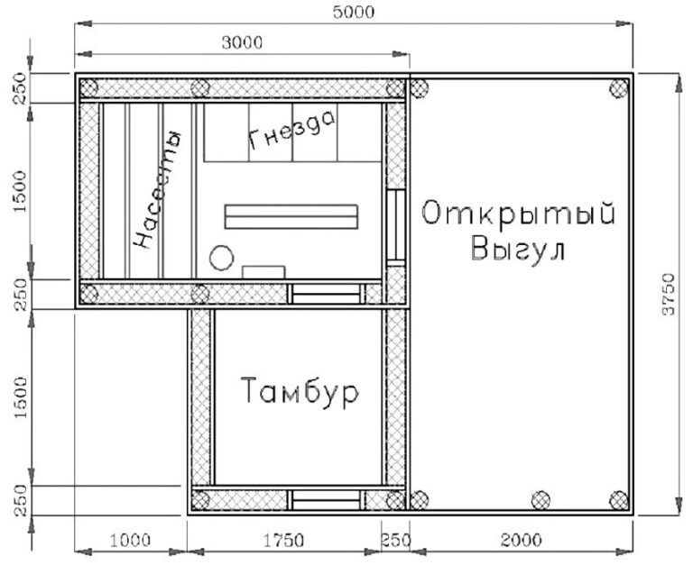 Планировка курятника: Устройство зимнего курятника: планировка, утепление, обогрев