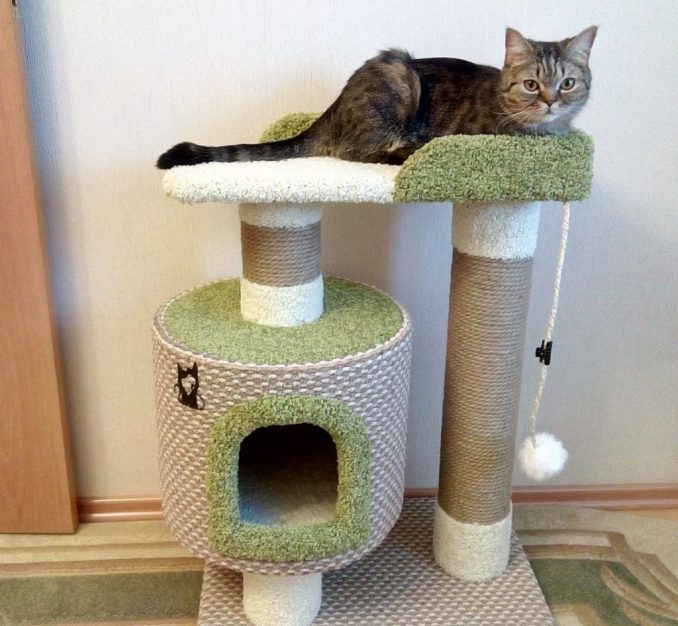 Домика для кота размеры: Домик для кошки своими руками: варианты, чертежи, размеры, каноны изготовления - Сделай сам