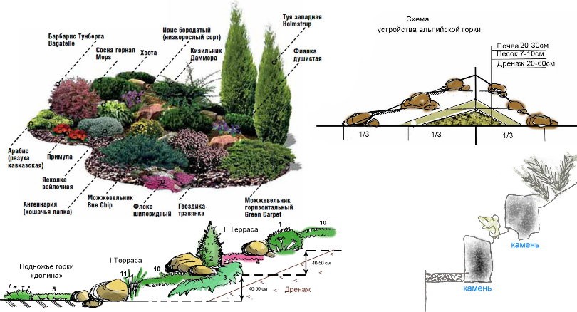 план для альпийской горки