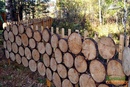 Забор из спилов дерева своими руками: красивый деревянный забор из необрезной доски, все варианты обработки и дизайна