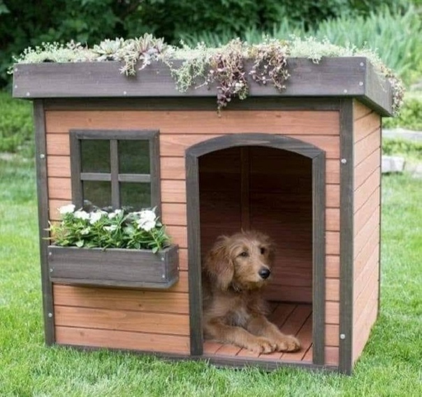 Из чего сделать будку для собаки своими руками: Будка для собаки: чертежи, размеры, фото
