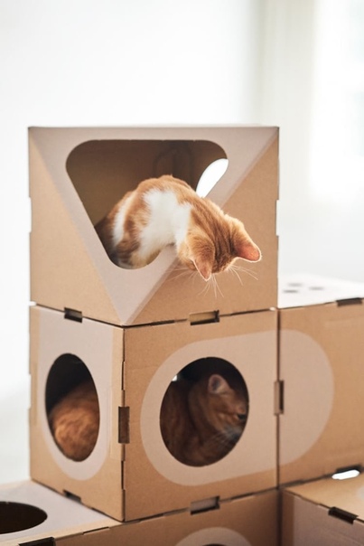 Как сделать дом из коробки для кота: Домик для кошки своими руками из картонной коробки — идеи и инструкции с фото