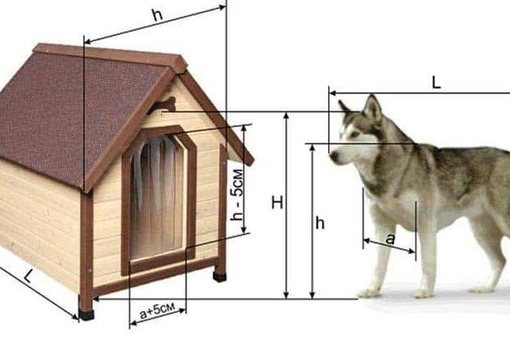 Как рассчитать размеры будки для собаки: Как правильно рассчитать размеры будки для собаки | | КП Центр обращения с животными
