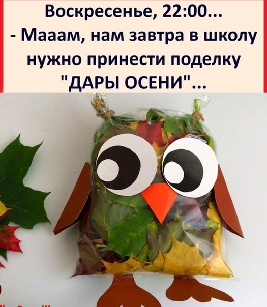 Сова из кленовых листьев: Сова из листьев своими руками: как сделать поделку сову из листьев в пакете, осенняя поделка