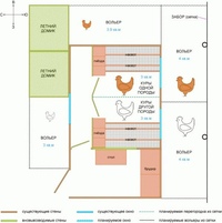 Курятник на 20 кур своими руками чертежи: как построить сарай для кур своими руками, красивый проект для строительства конструкции на 50 голов