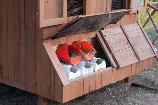 Курятник на дачном участке: как построить красивый птичник на дачном участке, пошаговое описание