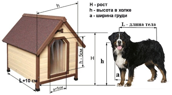 Чертеж будки для большой собаки: размеры и чертежи, выбор материала и утепление