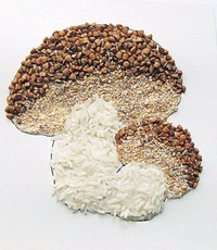 Поделка из крупы грибы: Аппликация грибы из крупы поделка + шаблон белого гриба