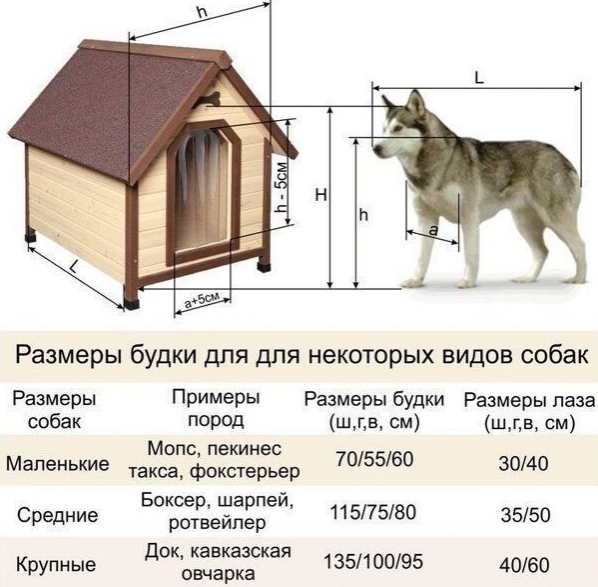 Размеры будки для алабая размеры фото: Будка для алабая: размеры