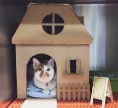 Домик коту из коробки: как сделать лежанку для кота в домашних условиях по чертежам? Самодельные кошачьи домики из газетных трубочек, из дерева и из других материалов