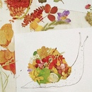 Аппликация из гербария: Идеи на тему «Картины из гербария» (70+)