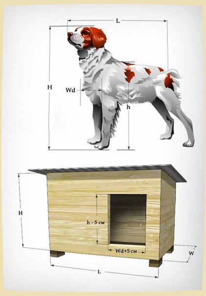 Как сделать будку для собаки своими руками в домашних условиях схема: фото и чертежи удачных конструкций