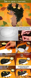 Аппликация из природных материалов ежик: Идеи на тему «Ёжик из крупы семечек» (10+)