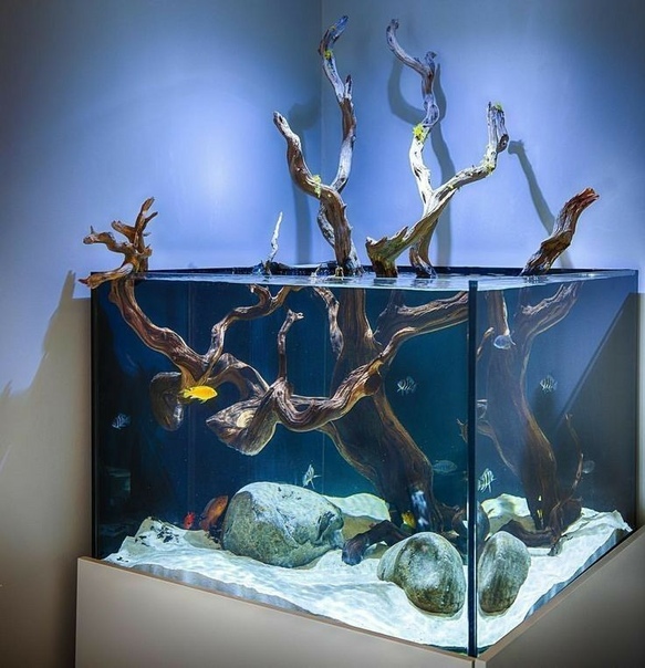 Аквариум оформление своими руками: 21 идея декораций для аквариума: делаем декор своими руками