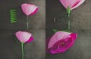 Как сделать большую розу из бумаги своими руками поэтапно фото: Розы из гофрированной бумаги: как сделать большие цветы