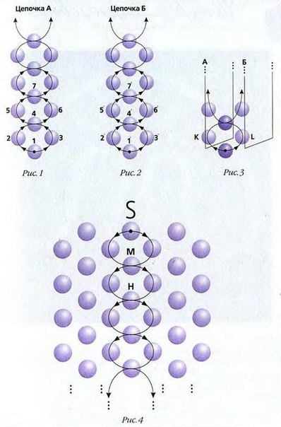 Плетение из бисера для начинающих фото схемы украшений: Бусы, браслеты и кольца из бисера: где купить и как сделать самому
