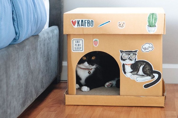 Как сделать домик для кошки своими руками видео из коробки: Домик для кошки своими руками: 3 варианта изготовления