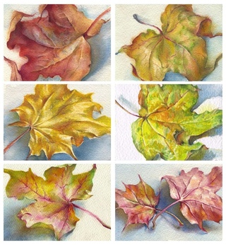 Узор из кленовых листьев: Фотографии большого размера, 3D иллюстрации и векторный клипарт
