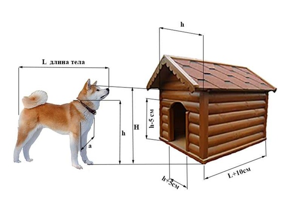 Чертеж будки для большой собаки: размеры и чертежи, выбор материала и утепление
