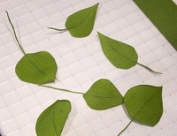 Как сделать веточки с листочками: ветки и листья в вазах