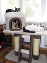 Когтеточка с домиком фото: Когтеточка для кошек своими руками. Когтеточка домик, когтеточка с лежанкой