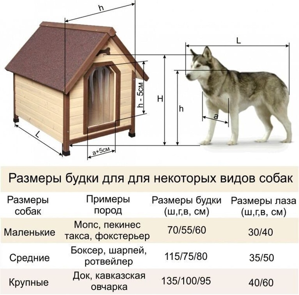 Из чего сделать будку для собаки своими руками: Будка для собаки: чертежи, размеры, фото