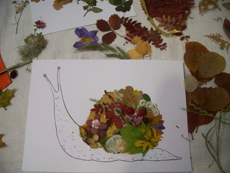 Аппликации из осенних цветов и листьев: аппликации из сухих цветов: 15 тыс изображений найдено в Яндекс.Картинках