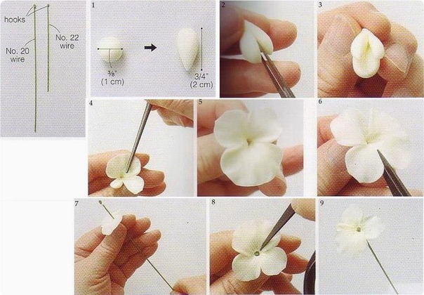 Пошагово цветы из полимерной глины: Мастер-класс смотреть онлайн: Создаем реалистичные цветы из холодного фарфора (полимерной глины)