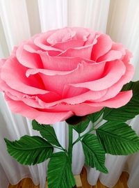 Как сделать розу из крепированной бумаги своими руками: Мастер-класс смотреть онлайн: Создаем интерьерные розы из креповой бумаги: видео мастер-класс