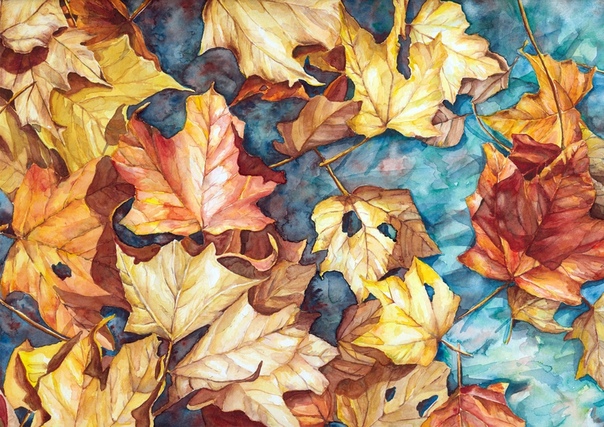 Узор из кленовых листьев: Фотографии большого размера, 3D иллюстрации и векторный клипарт
