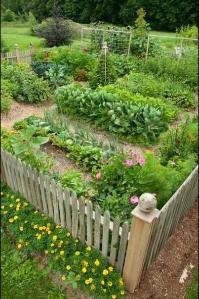 Огород в: ТОП способов упростить уход за садом и огородом: полив, уход за посадками