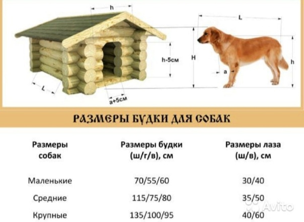 Как рассчитать размеры будки для собаки: Как правильно рассчитать размеры будки для собаки | | КП Центр обращения с животными