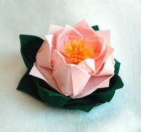 Как сделать из бумаги цветок лотоса: Лотос оригами схема пошаговая инструкция