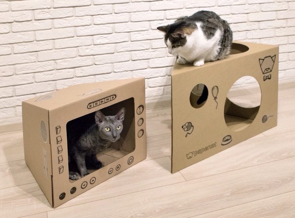 Домики из картона для кошек: пошаговая инструкция по изготовлению домика для котов из картона и футболки
