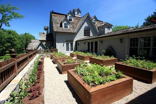 Дача фото огород: Сад и огород своими руками: 40 фото красивой дачи