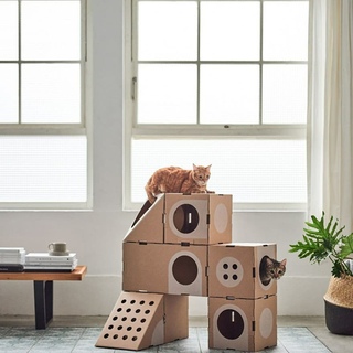 Домик из картона для кота своими руками: Домик для кошки: как и из чего можно сделать (43 фото)