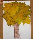 Аппликация осенний лес из листьев: Аппликация в подготовительной группе. "Осенний лес"
