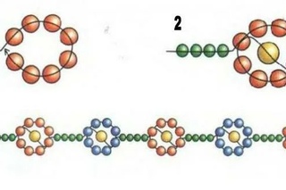 Схемы простые плетения из бисера: 25 простых схем по бисероплетению для начинающих и детей