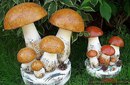 Грибы своими руками для детского сада: Поделки грибов своими руками. Мастер-класс и красивые фото