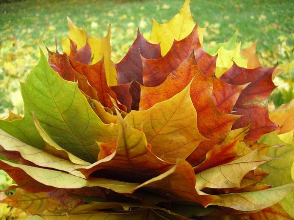 Осенний букет из листьев картинки: Attention Required! | Cloudflare