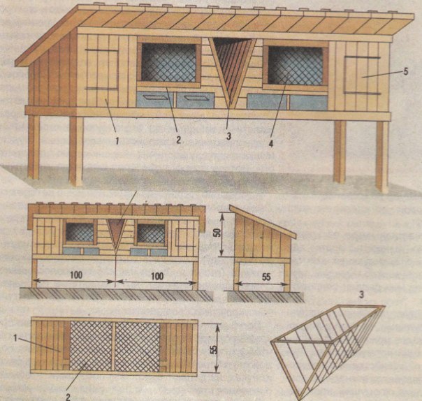 Крольчатник своими руками фото: Крольчатник своими руками - 110 фото и описание этапов постройки