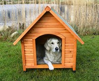 Картинка будки для собаки для детей: Стоковые векторные изображения Собака будка