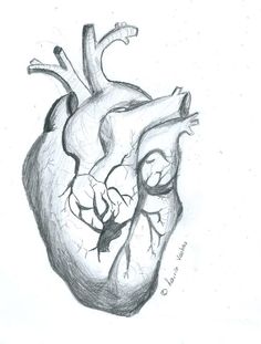 Сердце рисунок объемное: Объемное сердце рисунок карандашом. Как нарисовать сердечко карандашом поэтапно