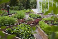 Как разделить огород и сад: Как разделить зоны огорода и сада?