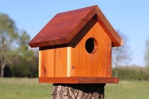 One-board DIY bird house or nesting box.
